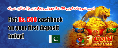 100% خوش آمدید بونس promotion